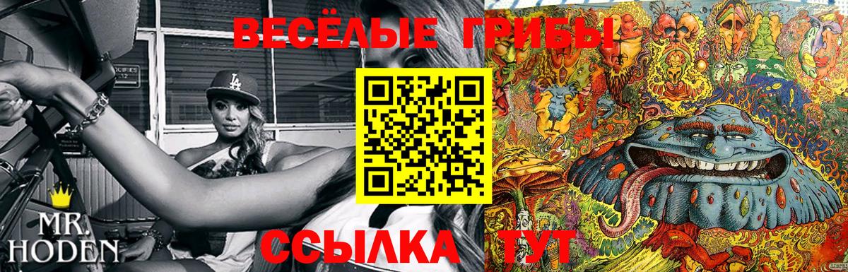 Псилоцибиновые грибы мухоморы  Вход с VPN  Волжск  Галлюциногенные грибы мицелий 