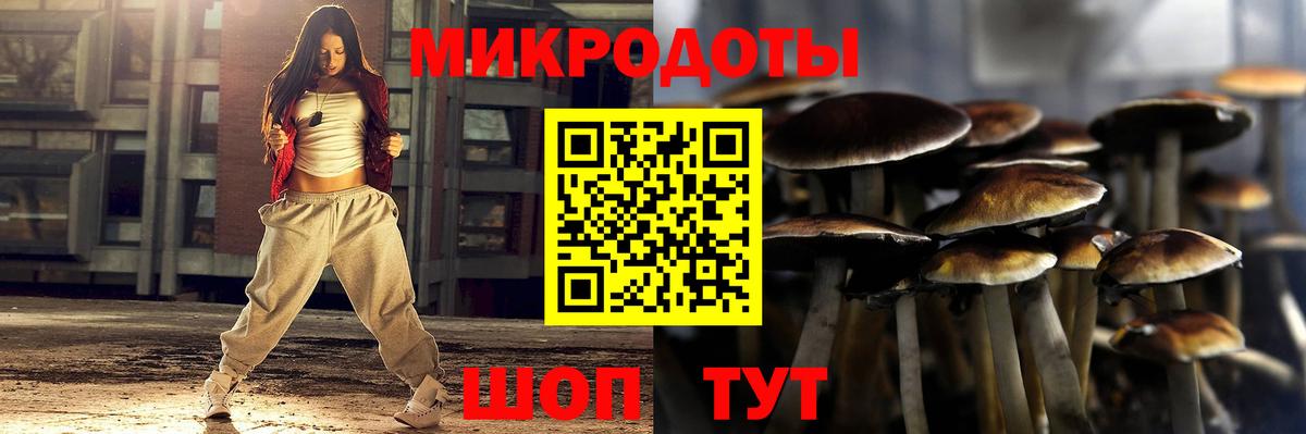 Галлюциногенные грибы мухоморы Волжск